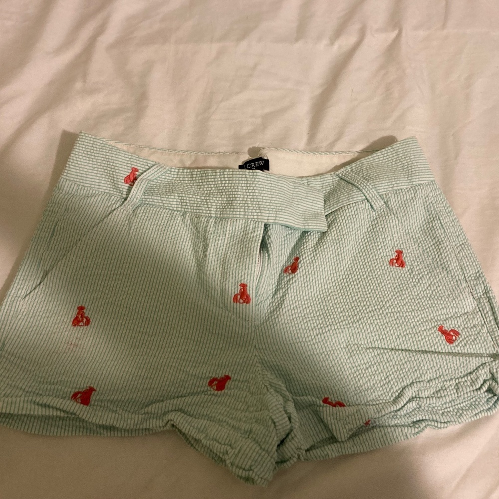 J Crew Shorts